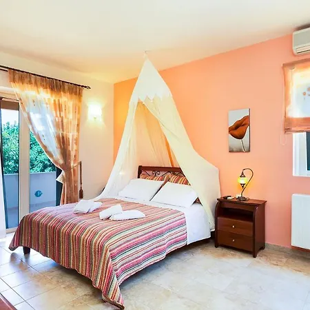 Acorn * レティムノ